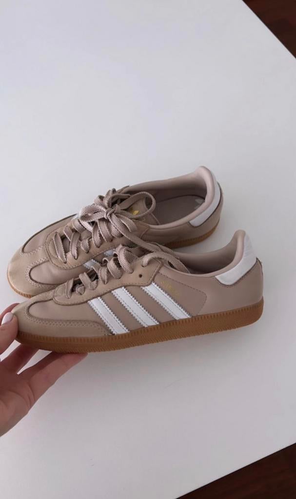 Superstar beige adidas, Kleding | Dames, Schoenen, Ophalen of Verzenden, Zo goed als nieuw, Beige