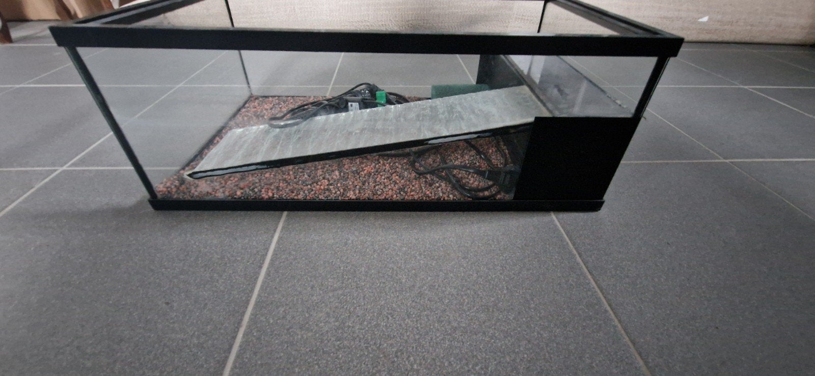 Terrarium, Enlèvement