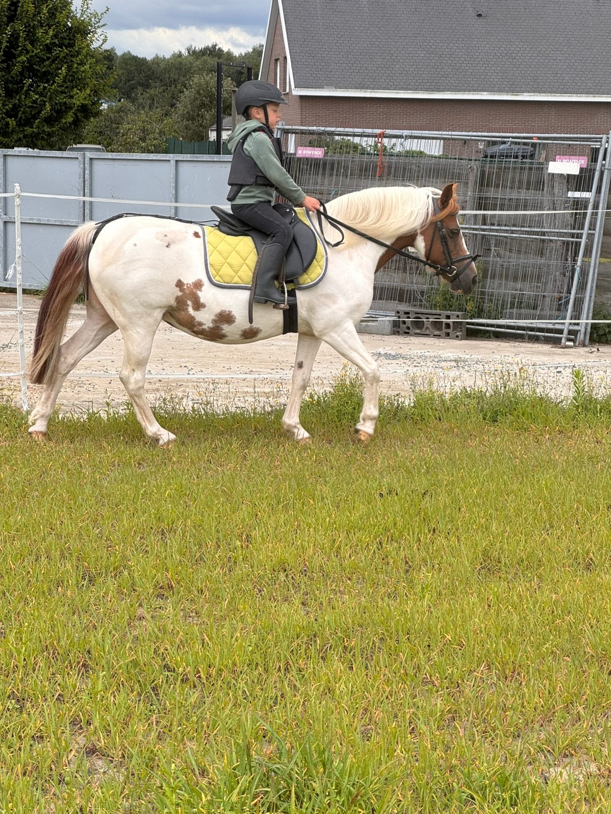 Fantastische kinder b pony merrie te koop / halve stal, Dieren en Toebehoren, Pony's, Merrie, B