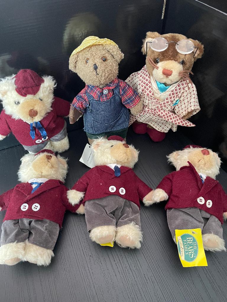 The bears family collection, Collections, Ours & Peluches, Enlèvement, Comme neuf, Ours en tissus, Autres marques
