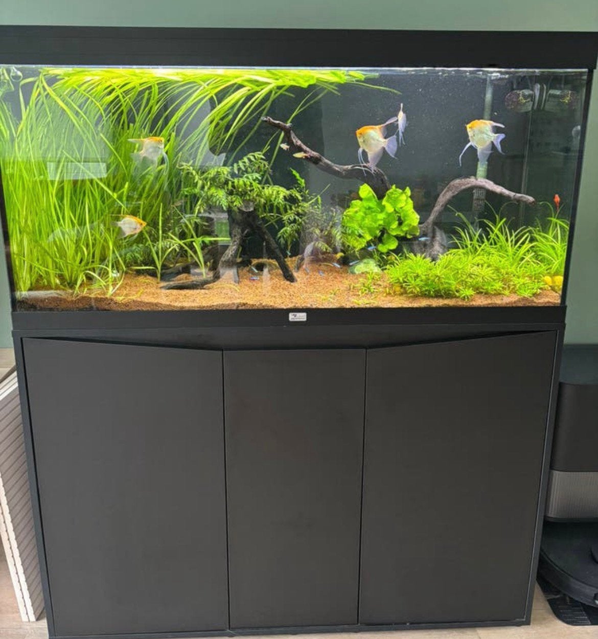 Aquarium aquatlantis, Animaux & Accessoires, Enlèvement, Comme neuf, Aquatlantis