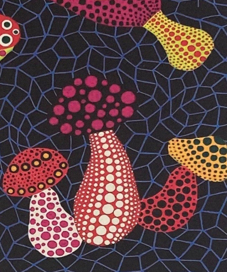 Yayoi Kusama : lithographie 40 par 50. Vendue encadrée, Enlèvement ou Envoi, Lithographie