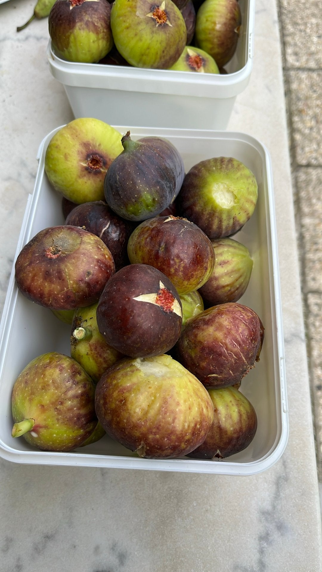 Verse vijgen, Tuin en Terras, Ophalen