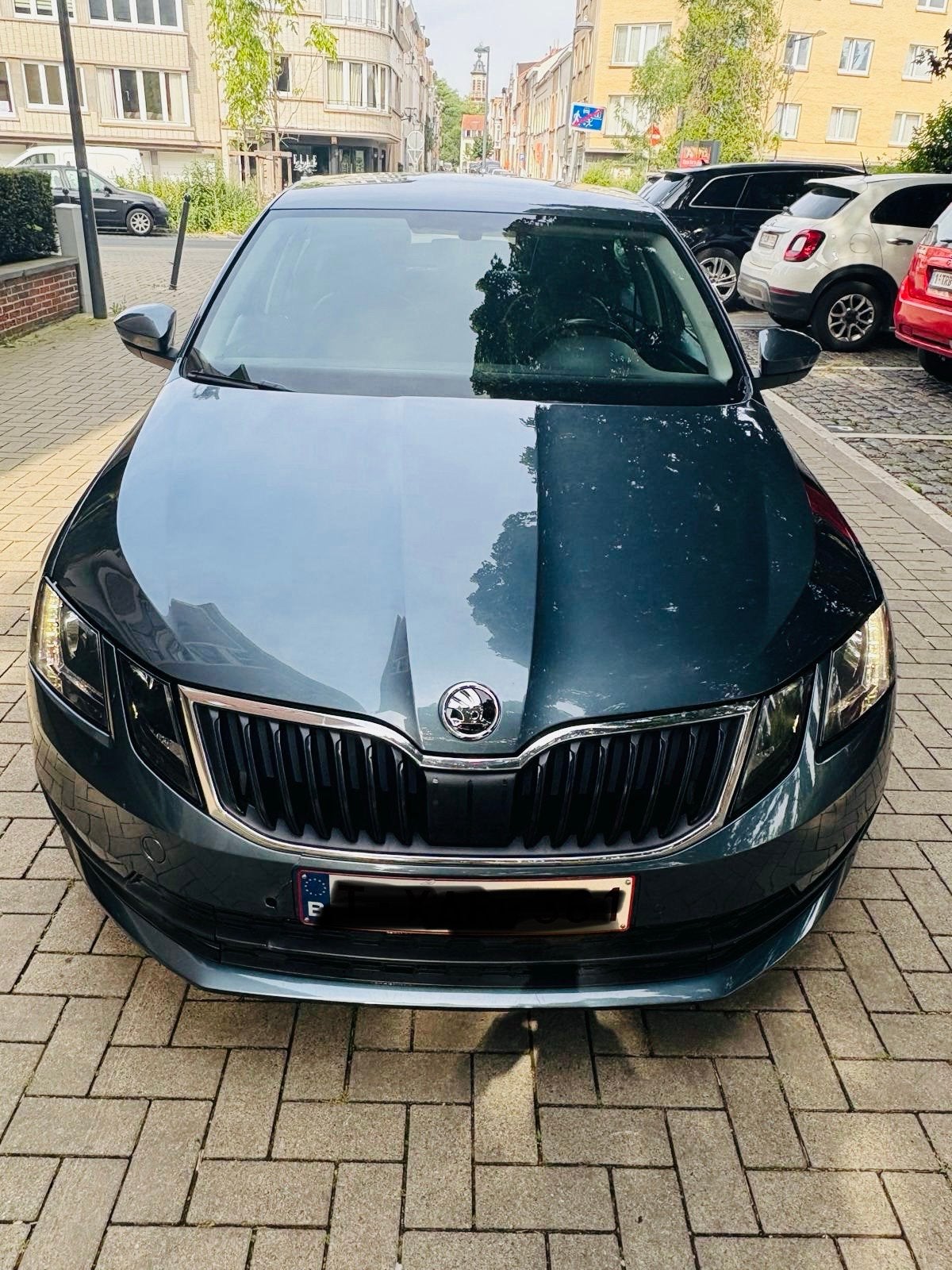 Skoda octavia, Auto's, 5 deurs, Particulier, Zilver of Grijs, 1 cilinders
