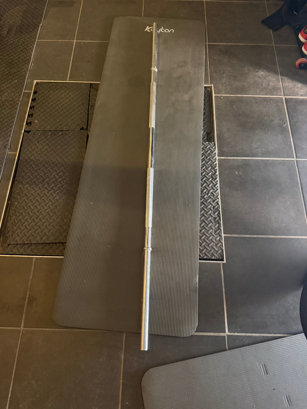 Olympische vrouwen bar + 2x10kg metalen gewichten, Sport en Fitness, Ophalen, Zo goed als nieuw