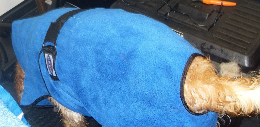 Hondenbadjas, Ophalen, Zo goed als nieuw, Overige typen