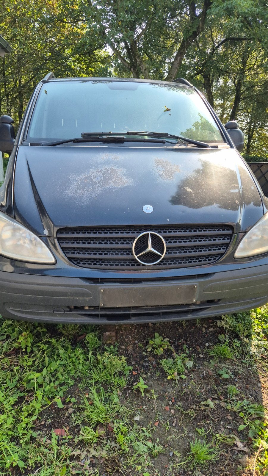 vito 115cdi, Auto's, Particulier, Te koop, Vito