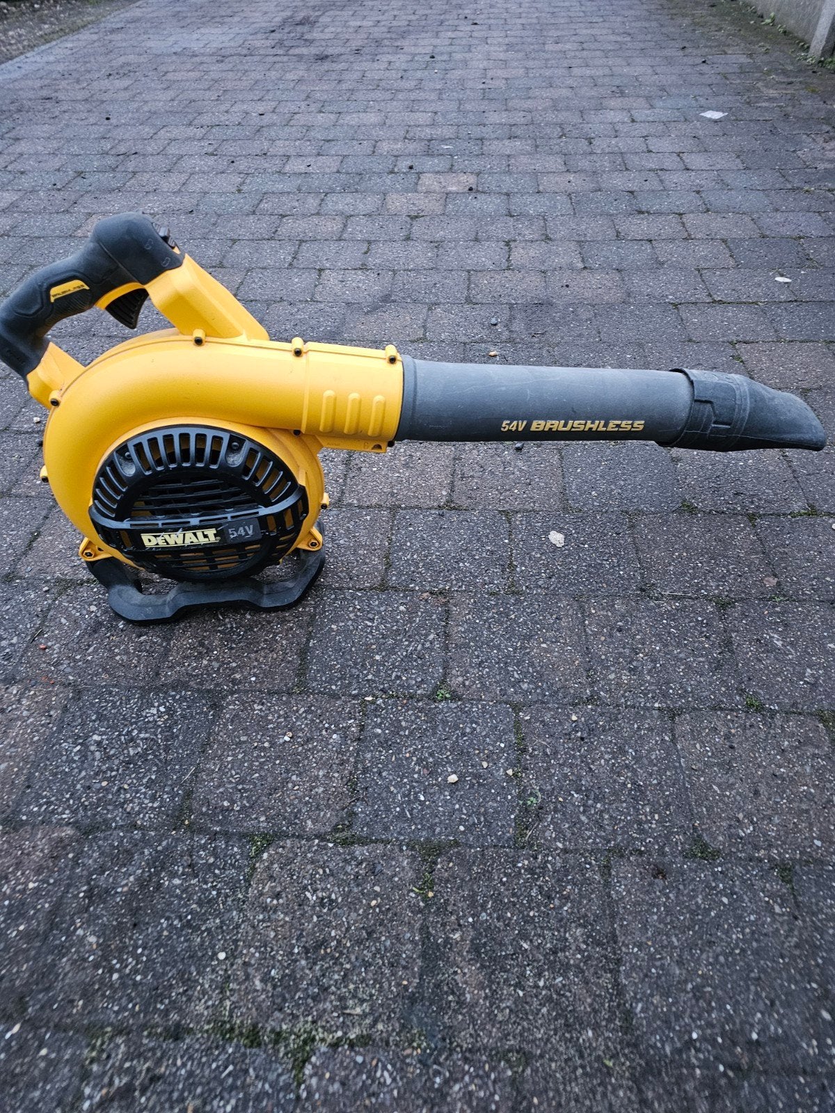 dewalt bladblazer 54v, Ophalen