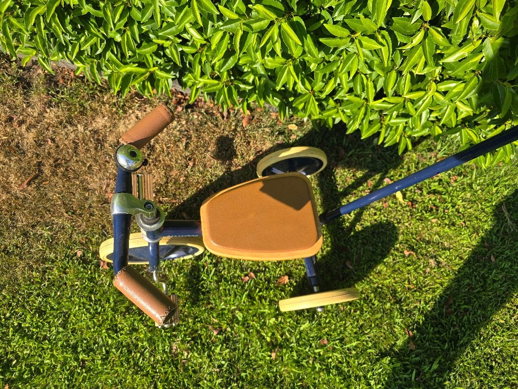 Banwood driewieler met duwstang, Fietsen en Brommers, Fietsen | Kinderfietsjes, Ophalen, Zo goed als nieuw, Minder dan 16 inch