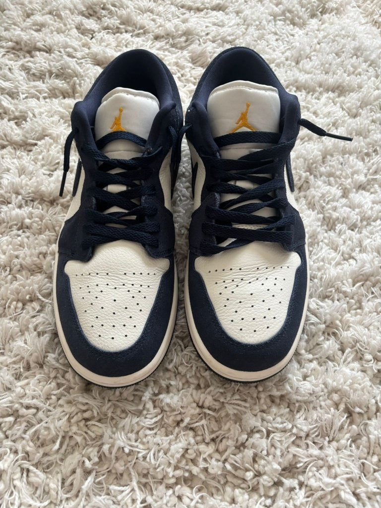 Nike Air Jordan 42,5, Neuf, Nike, Enlèvement, Bleu