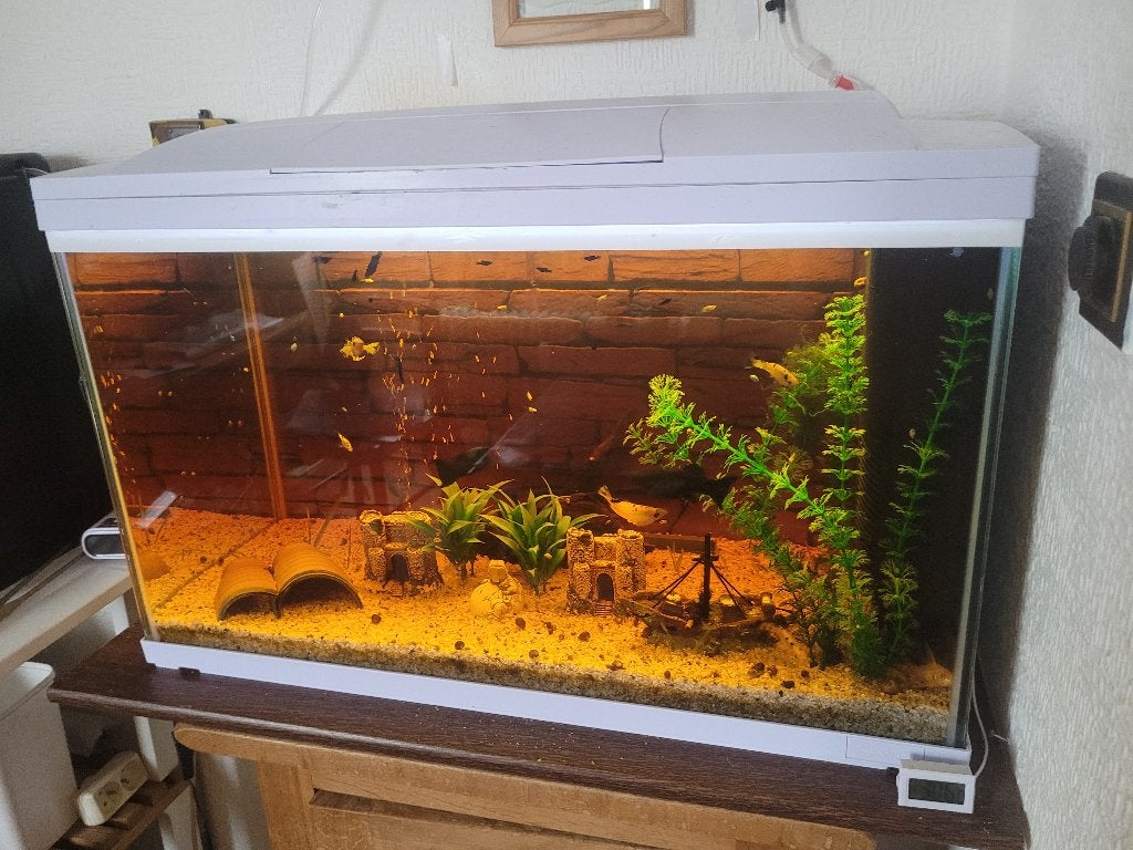 a vendre aquarium complet 90 l  et déco. lire svp, Animaux & Accessoires, Enlèvement, Comme neuf
