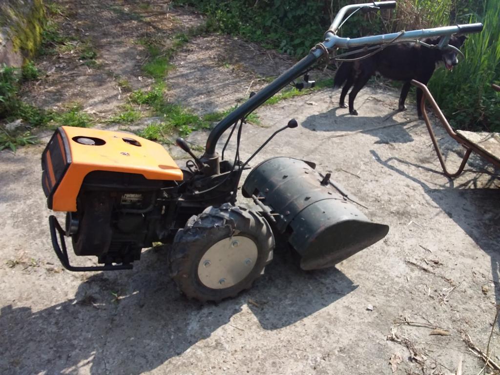Frees tuinfrees goldini 300 motoculteur, Ophalen