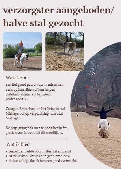Halve stal gezocht, Dieren en Toebehoren, Paarden