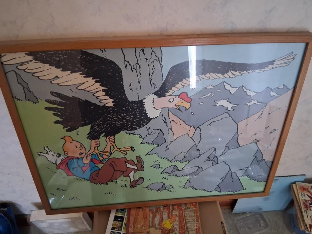 Tableau tintin, Tintin