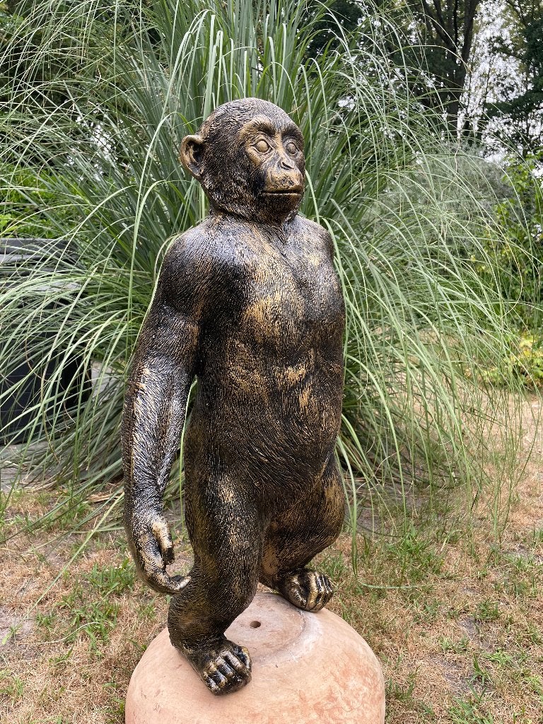 Beeld Stoere aap, tuin, vijver, dieren 80cm, Tuin en Terras, Ophalen, Nieuw, Kunststof, Dierenbeeld