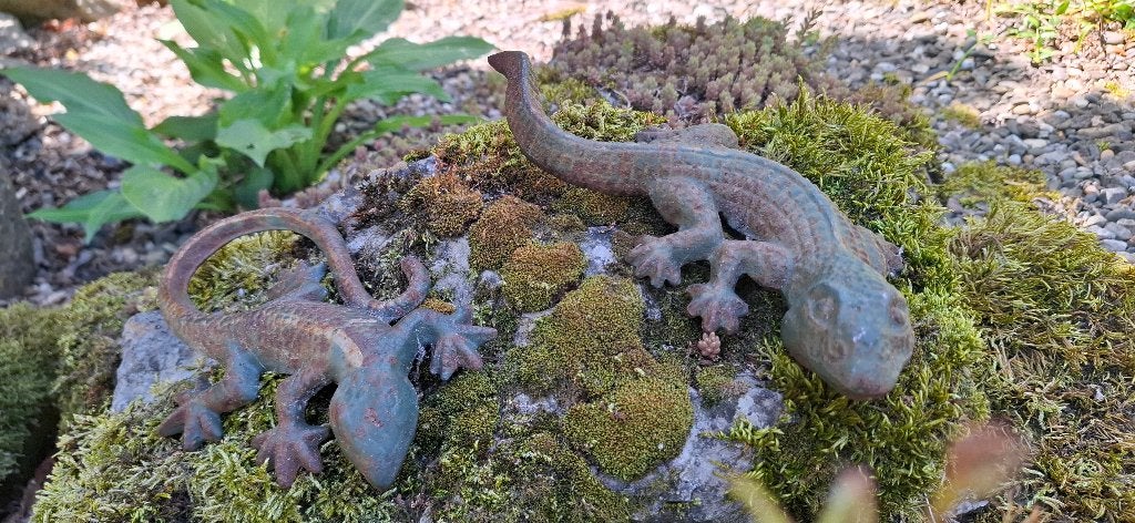 Gietijzeren hagedis/salamander/gekko, Tuin en Terras, Tuinbeelden, Gebruikt, Dierenbeeld, Metaal, Ophalen of Verzenden