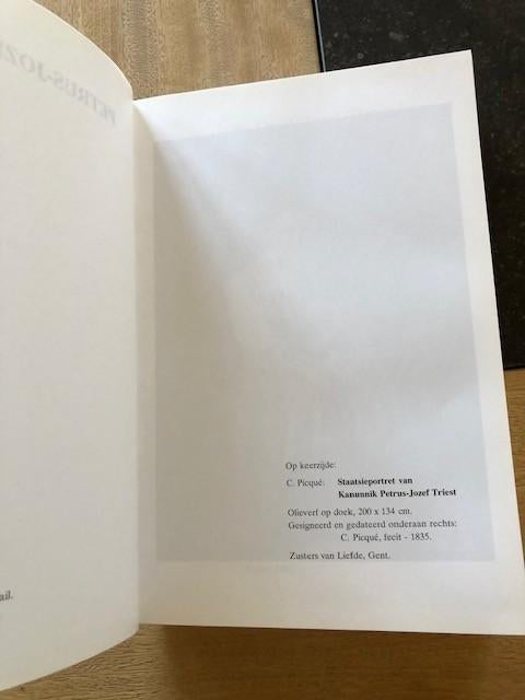 J.P.Triest: De groei van een kloosterstichter - Br. Orest,, Enlèvement ou Envoi, Comme neuf, Livre, Christianisme | Catholique