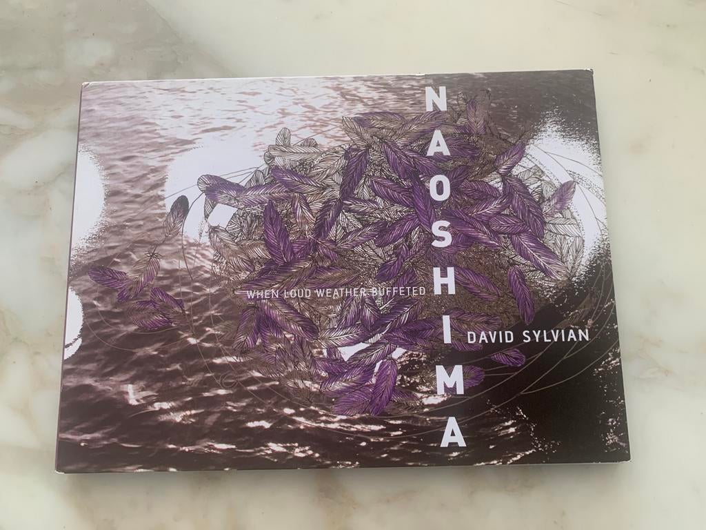 David Sylvian ~ Naoshima ** zeldzaam **, Cd's en Dvd's, Ophalen of Verzenden, Zo goed als nieuw