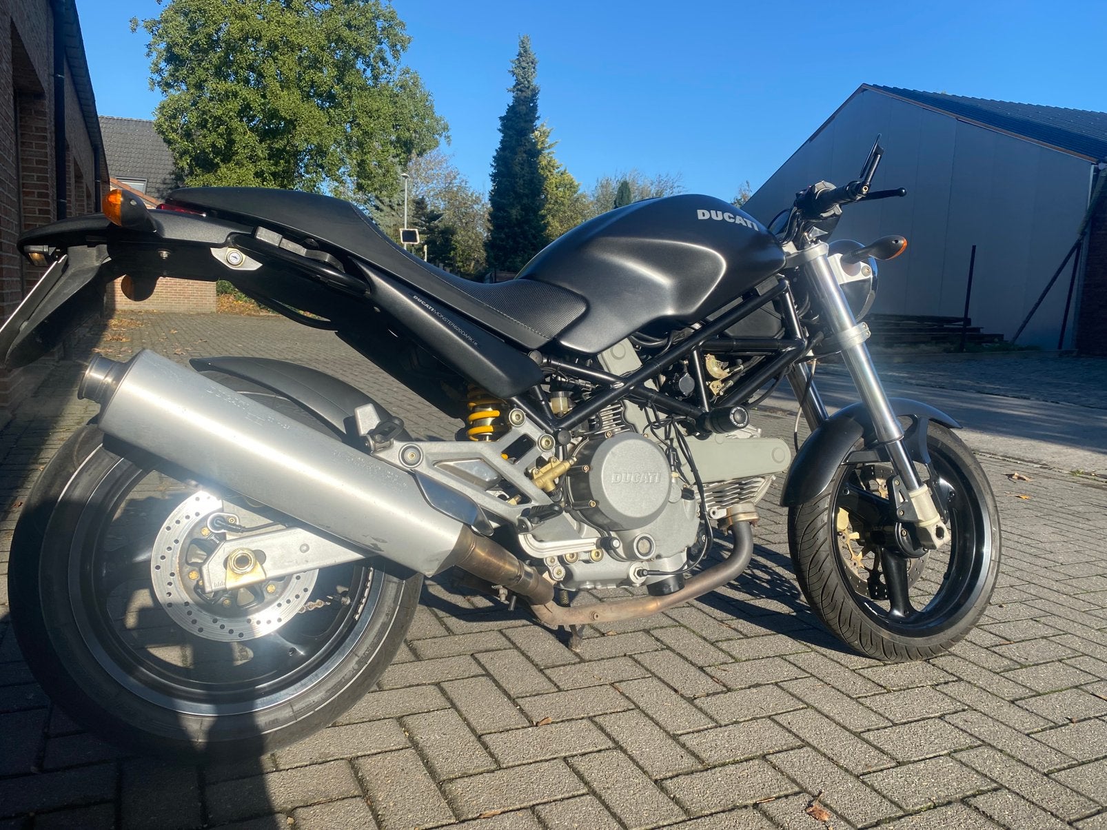 Ducati monster