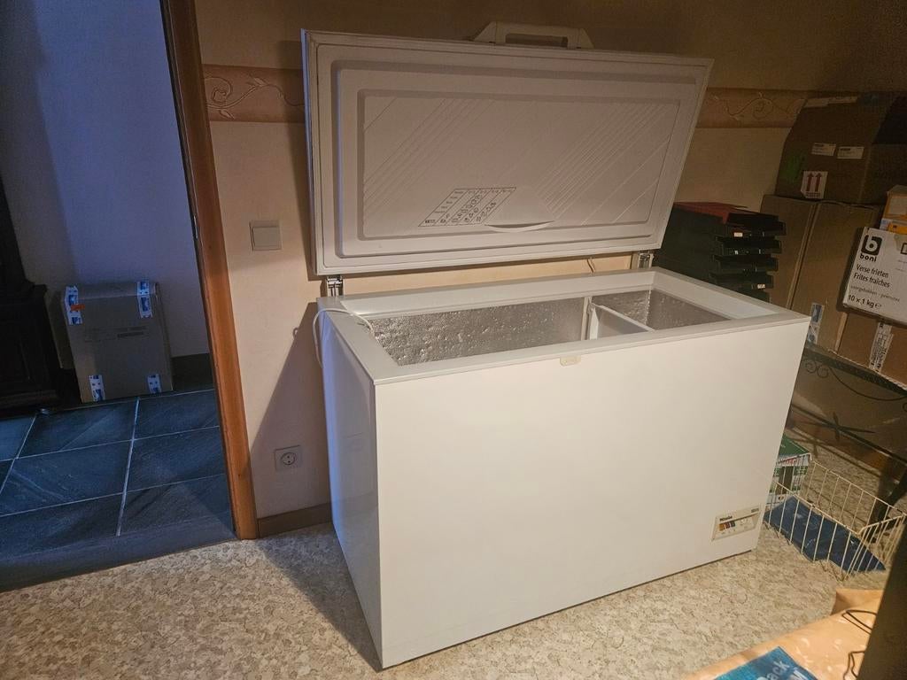 Diepvriezer, Elektronische apparatuur, Vriezers en Diepvrieskisten, Ophalen