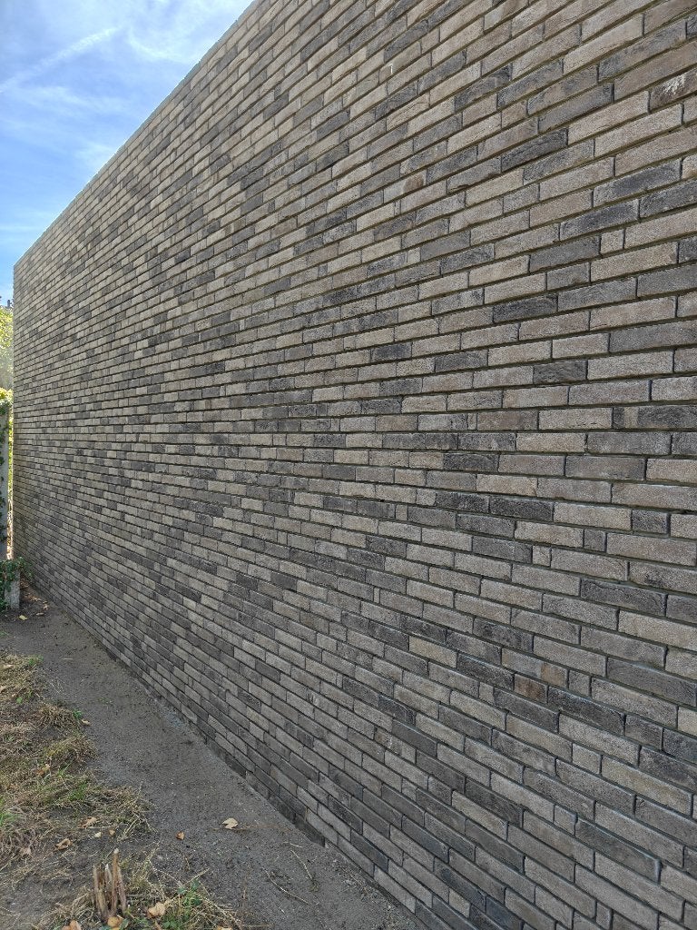 Gevelsteen pagus wienerber gratis, Doe-het-zelf en Bouw, Ophalen, Nieuw, Bakstenen