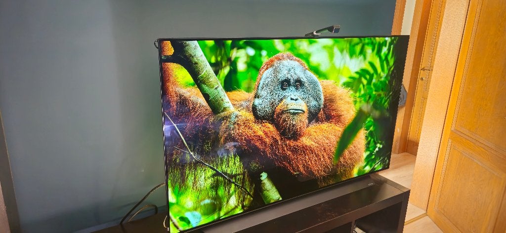 TV OLED: LG CX 55", Enlèvement, Utilisé, 100 cm ou plus, 4k (UHD)