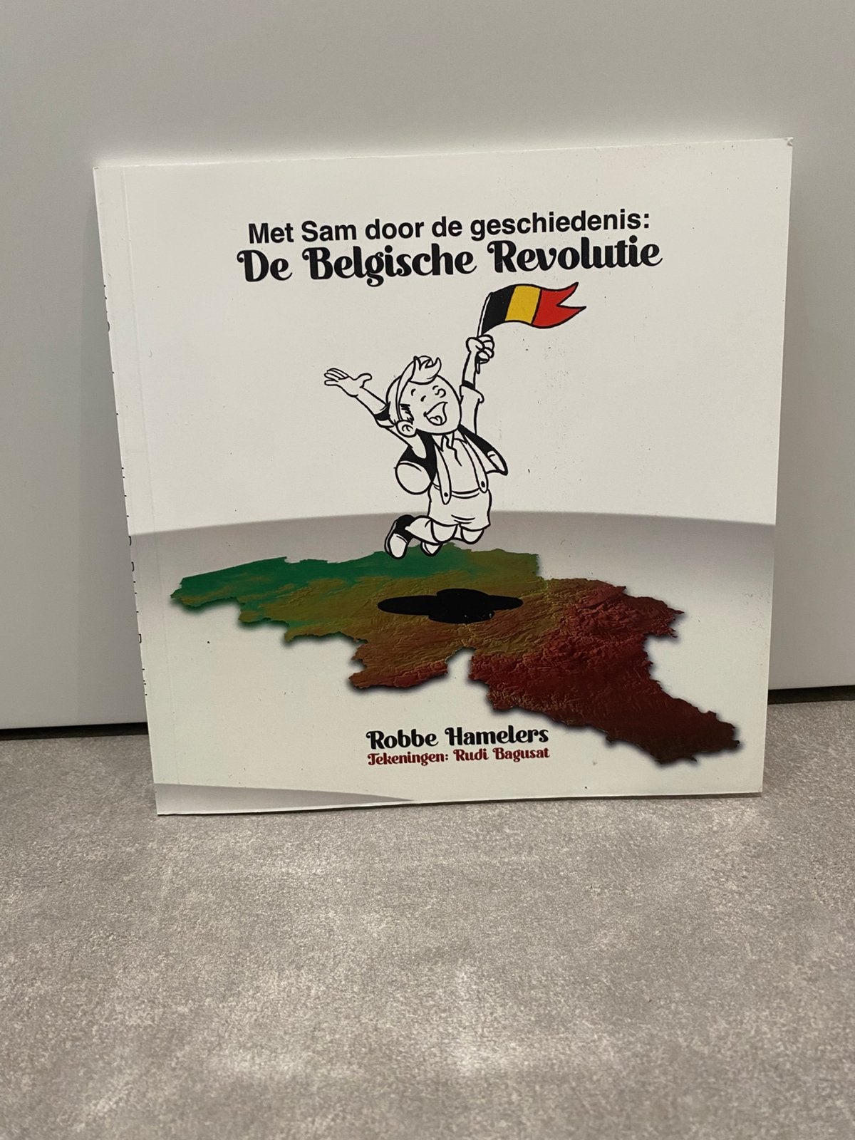 De Belgische revolutie, Boeken, Ophalen of Verzenden, Zo goed als nieuw