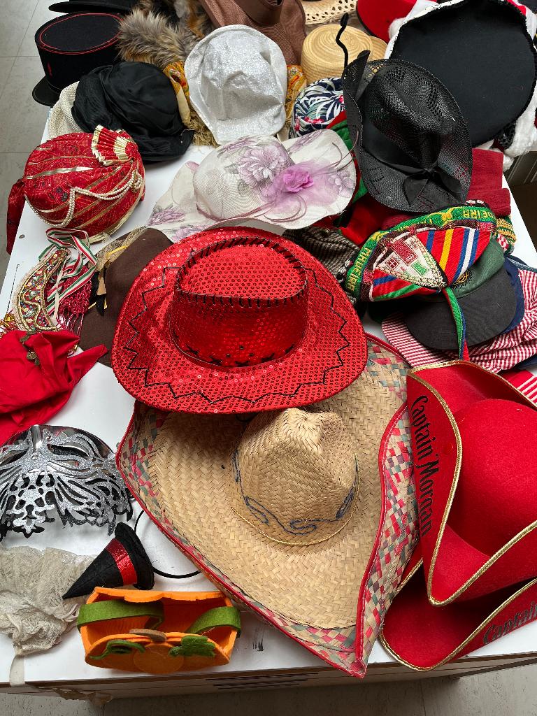 Hoeden verzameling, Hoed, One size fits all, Gedragen, Ophalen
