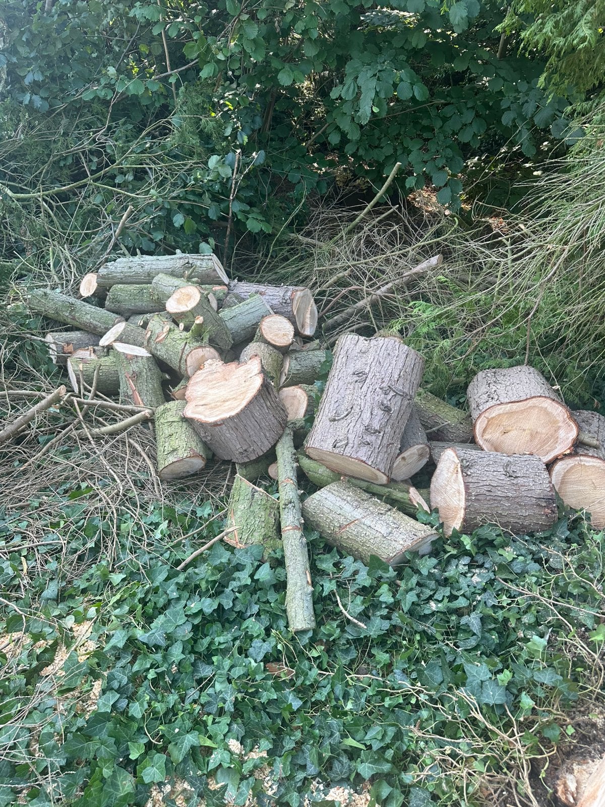 A donner bois de chauffage, Enlèvement
