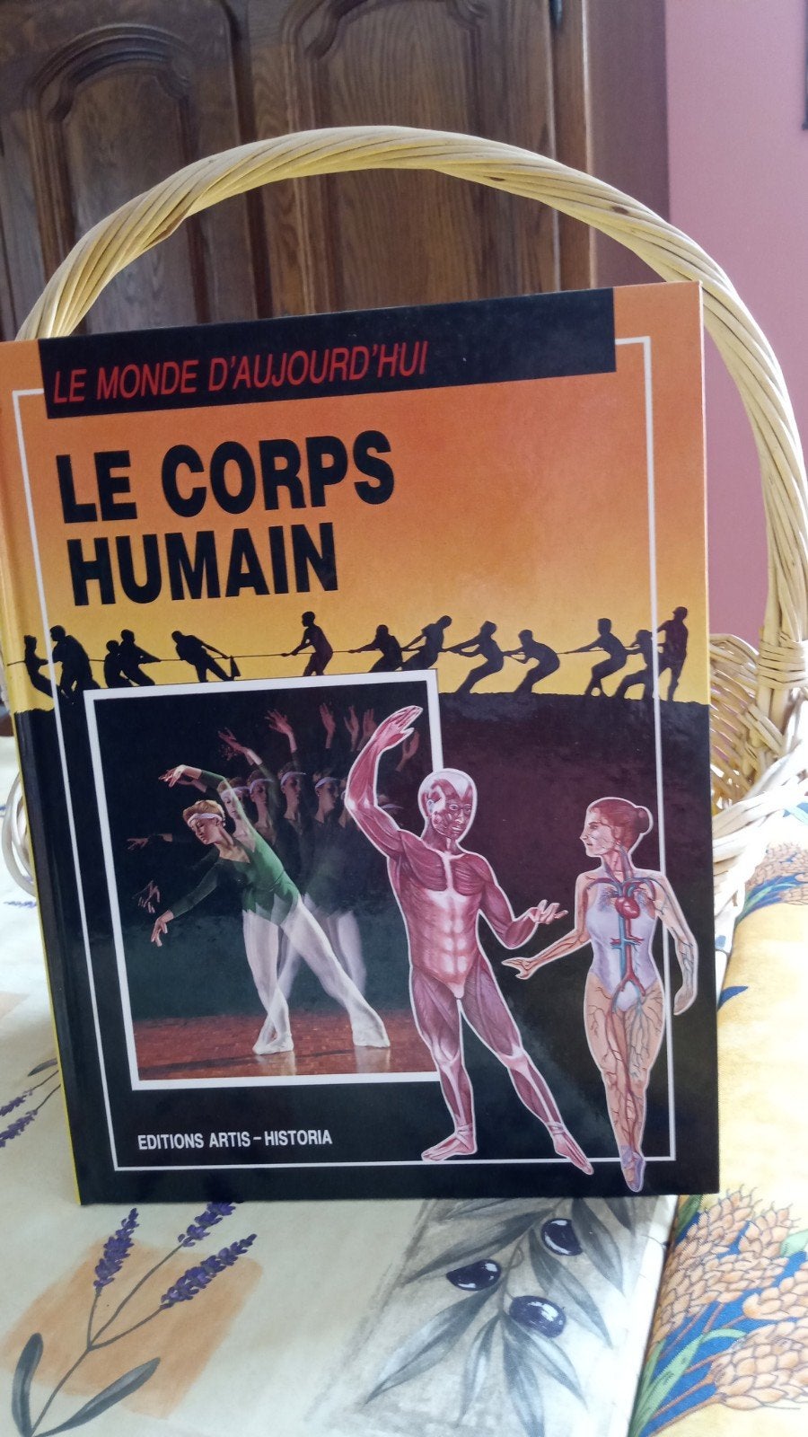av1 livre le corps humain édition artis Historia publié 1988, Livres, Enlèvement ou Envoi, Linda Gamlinr, Primaire, Biologie