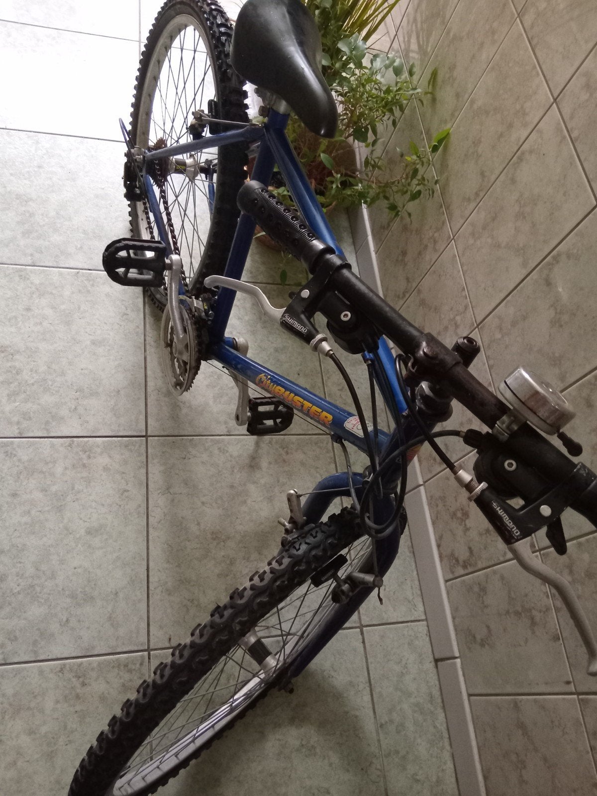 fiets, Fietsen en Brommers, Ophalen of Verzenden