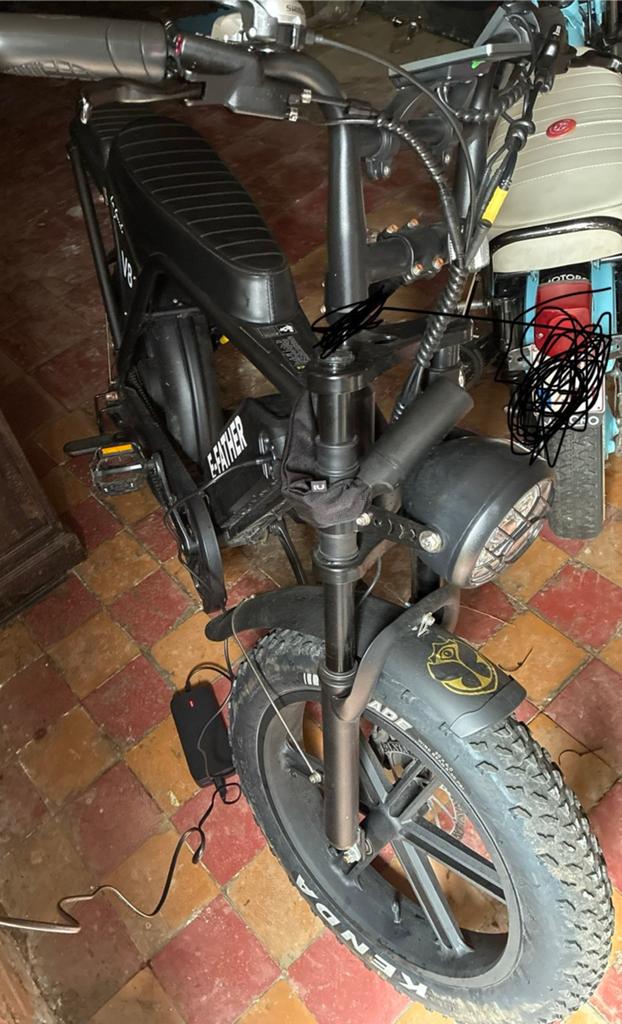 Fatbike La Souris v8, Enlèvement