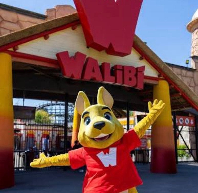 Ticket Walibi