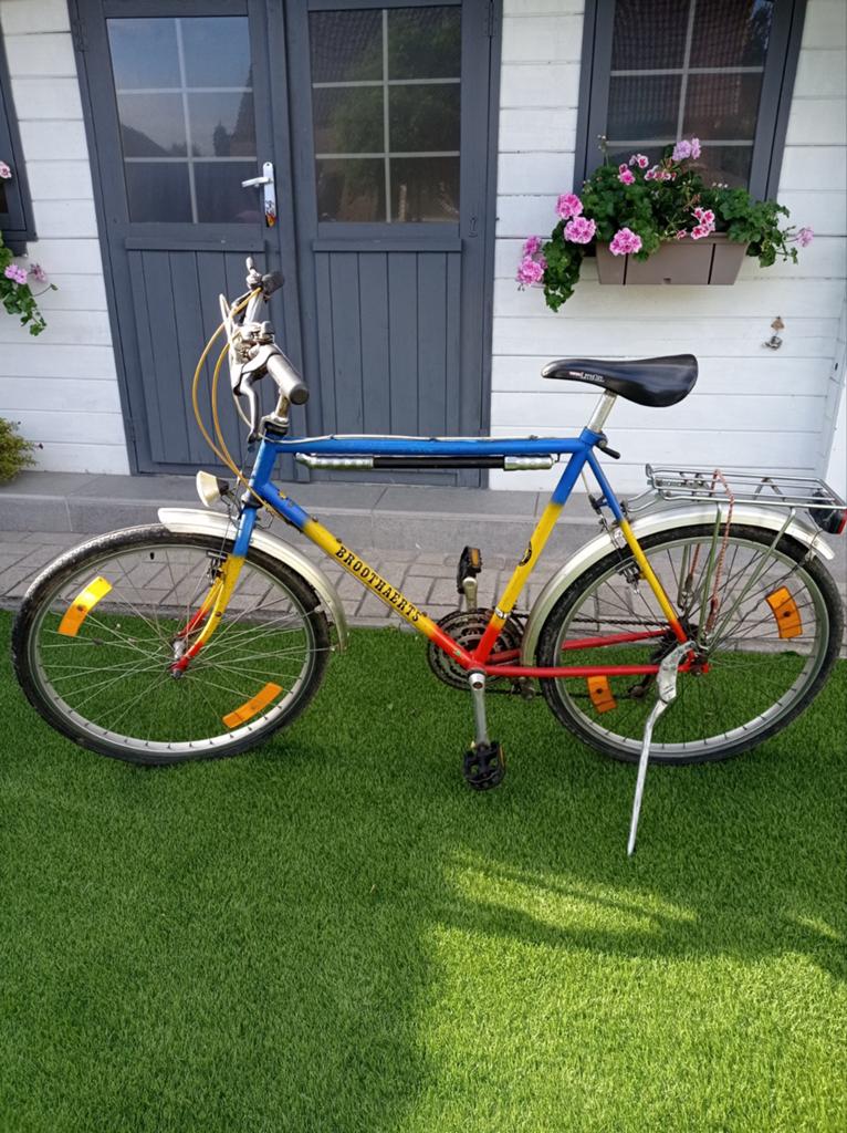 Retro fiets 15 versnellingen., Ophalen