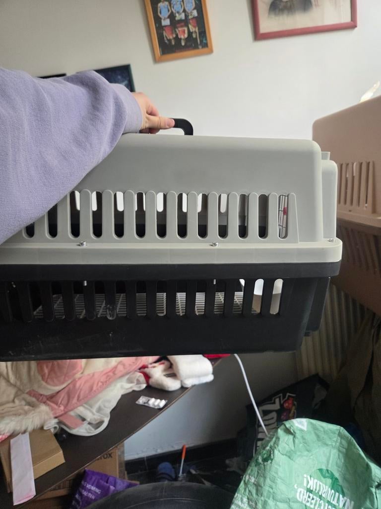 Kleine transportbench hond of kat, Ophalen