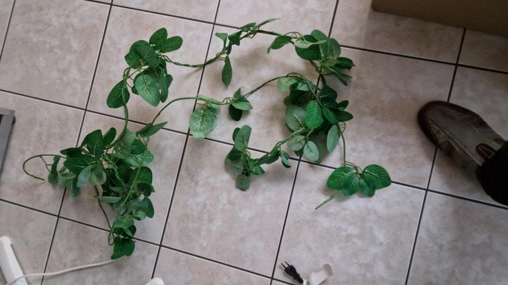 terrarium gerief, Ophalen, Gebruikt