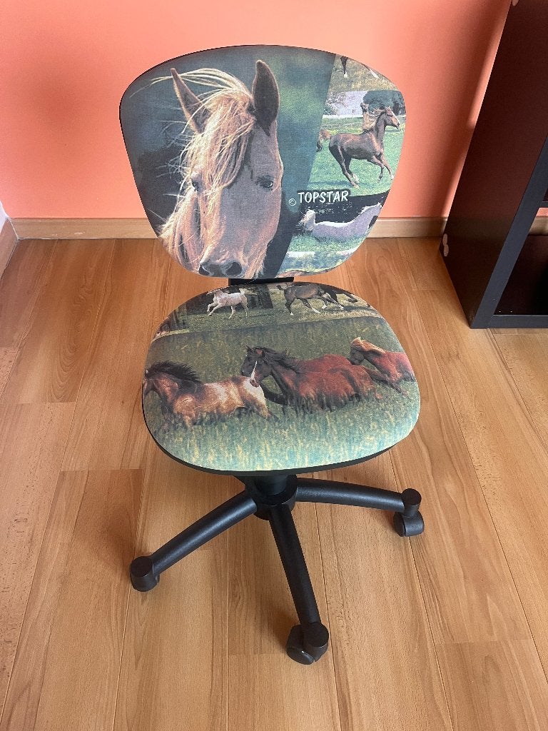Chaise de bureau pour enfant Horse, Maison & Meubles, Enlèvement, Utilisé, Vert, Chaise de bureau