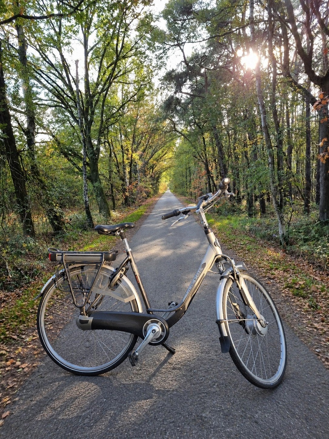 Vélo électrique Gazelle | Comme neuf, Vélos & Vélomoteurs, Enlèvement, Gazelle