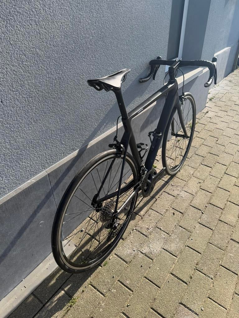 Basso Venta rim, Ophalen, Carbon