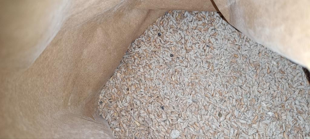 Grains bio d'épeautre décortiqué pour poules