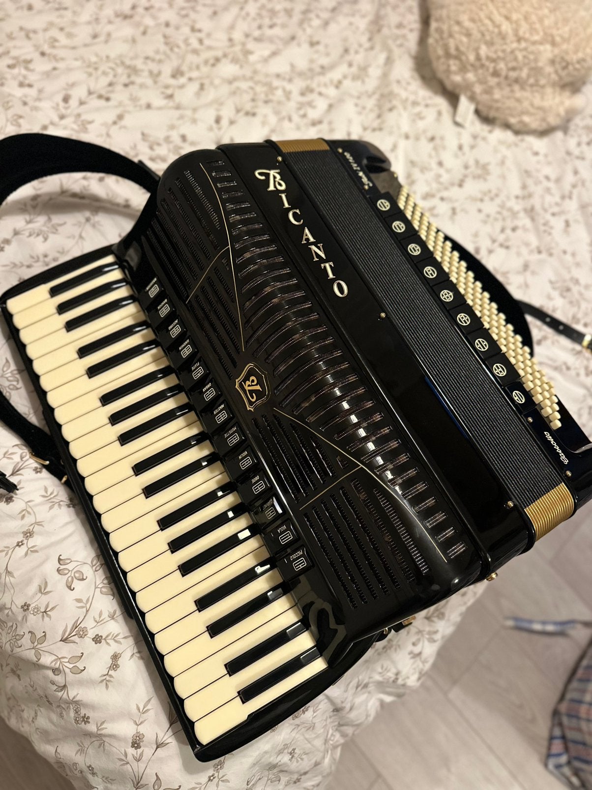 Accordeon Bicanto cassotto (Piatanesi), Musique & Instruments, Accordéons, Neuf, Autres marques, Avec valise, Enlèvement