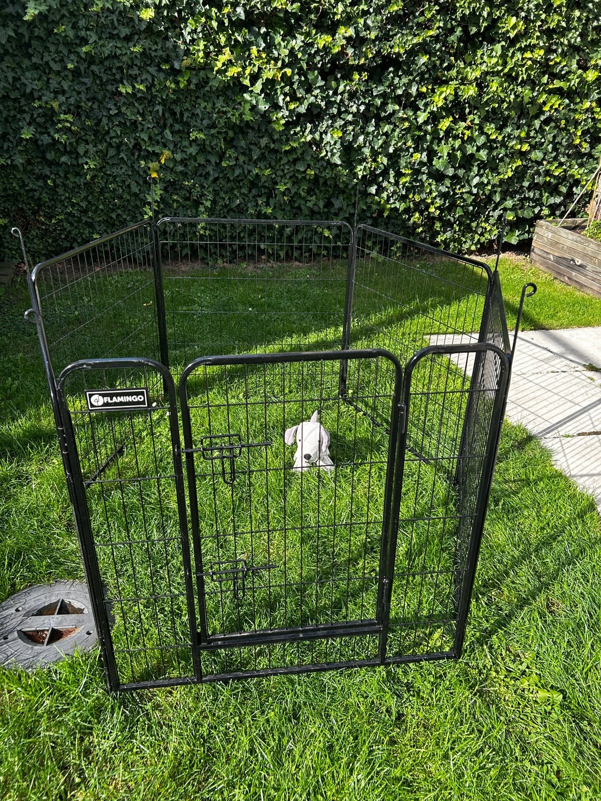 Hondenkennel / pup ren Flamingo, Dieren en Toebehoren, Ophalen, Zo goed als nieuw