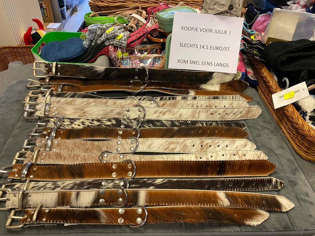 Luxe cowboy halsbanden aan spotprijsje !, Ophalen of Verzenden, Nieuw