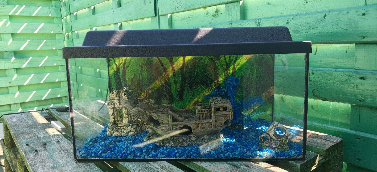 Aquarium en toebehoren