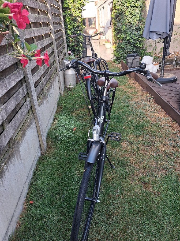 Fietsen, Fietsen en Brommers, Fietsen | Dames | Damesfietsen, 53 tot 56 cm, (Extra) lage instap, Nieuw, Ophalen