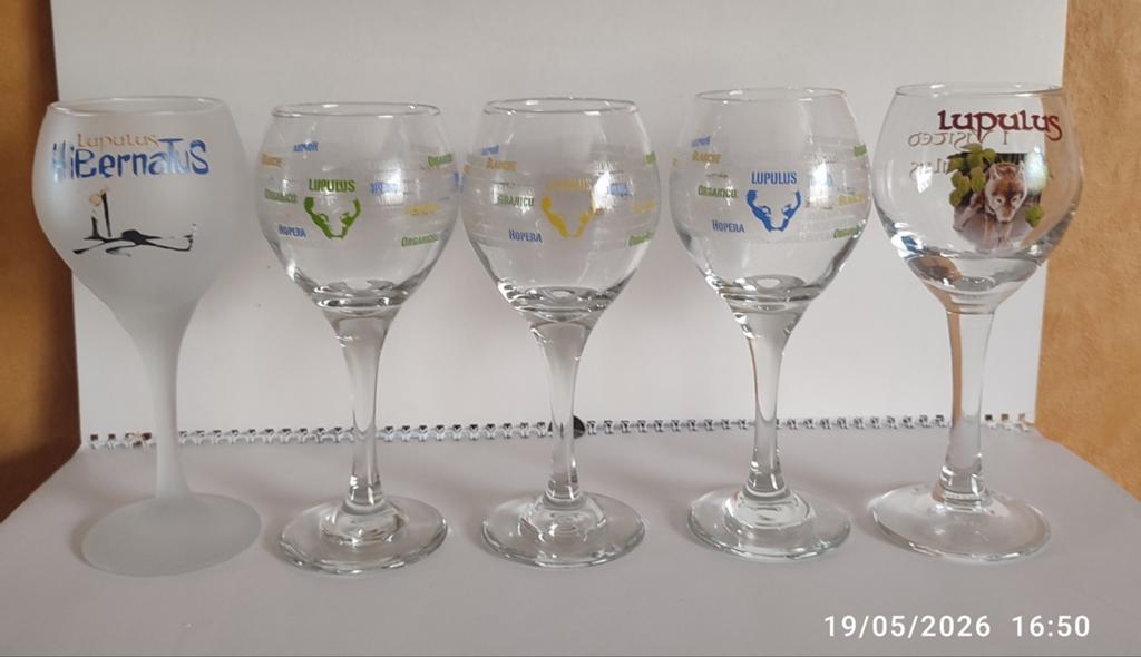 5 verres galopins LUPULUS ., Enlèvement, Comme neuf, Verre ou Verres, Autres marques