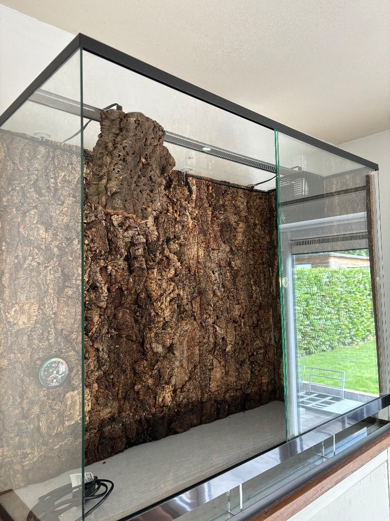 Terrarium, Enlèvement, Utilisé, Terrarium ou Paludarium