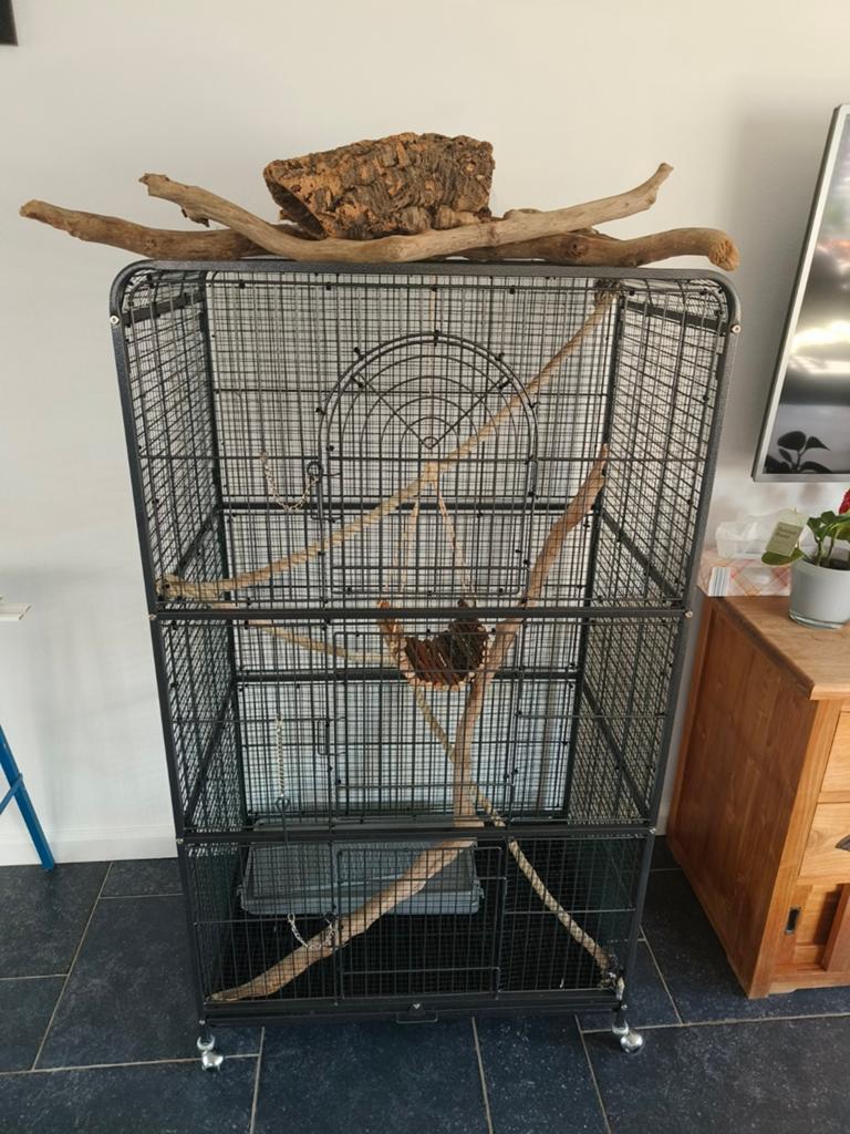 Grote huisdierenkooi, Dieren en Toebehoren, Ophalen