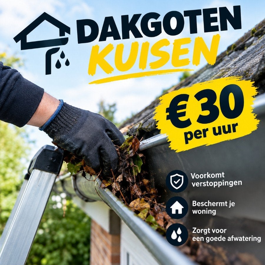 dakgoten reiniging, Doe-het-zelf en Bouw, Ophalen of Verzenden