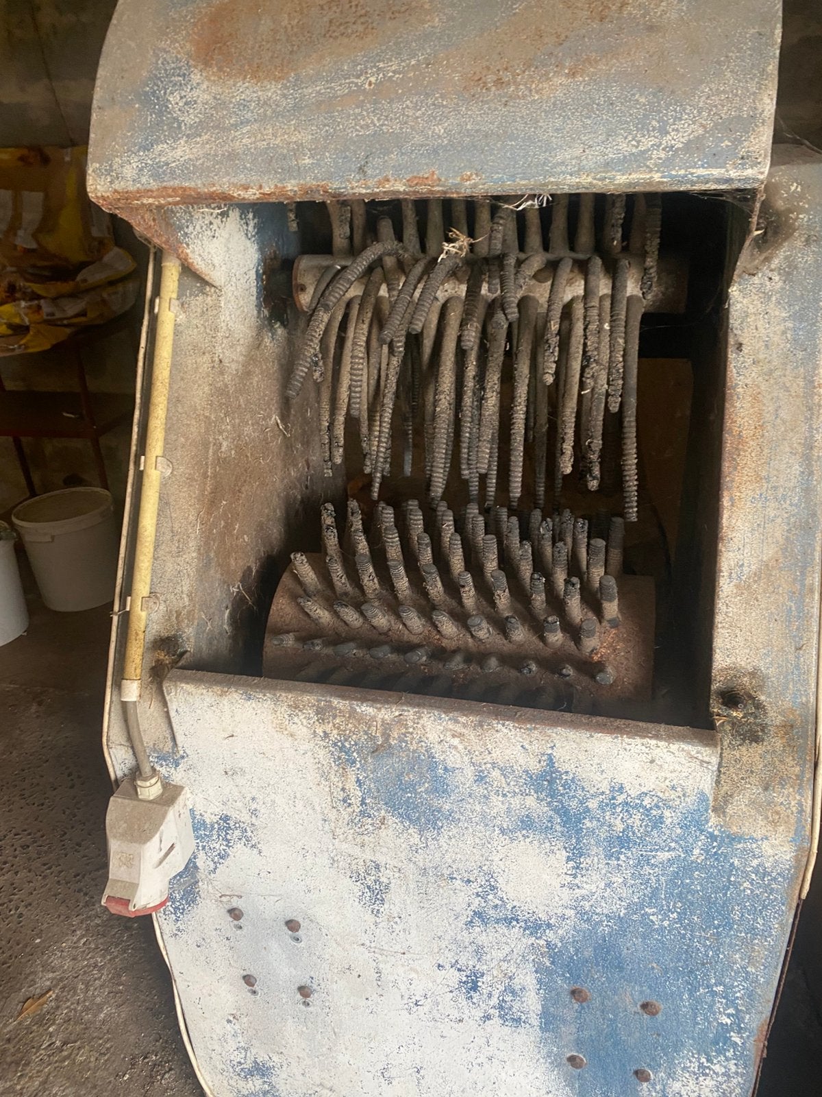 Machine à volaille, Poule ou poulet